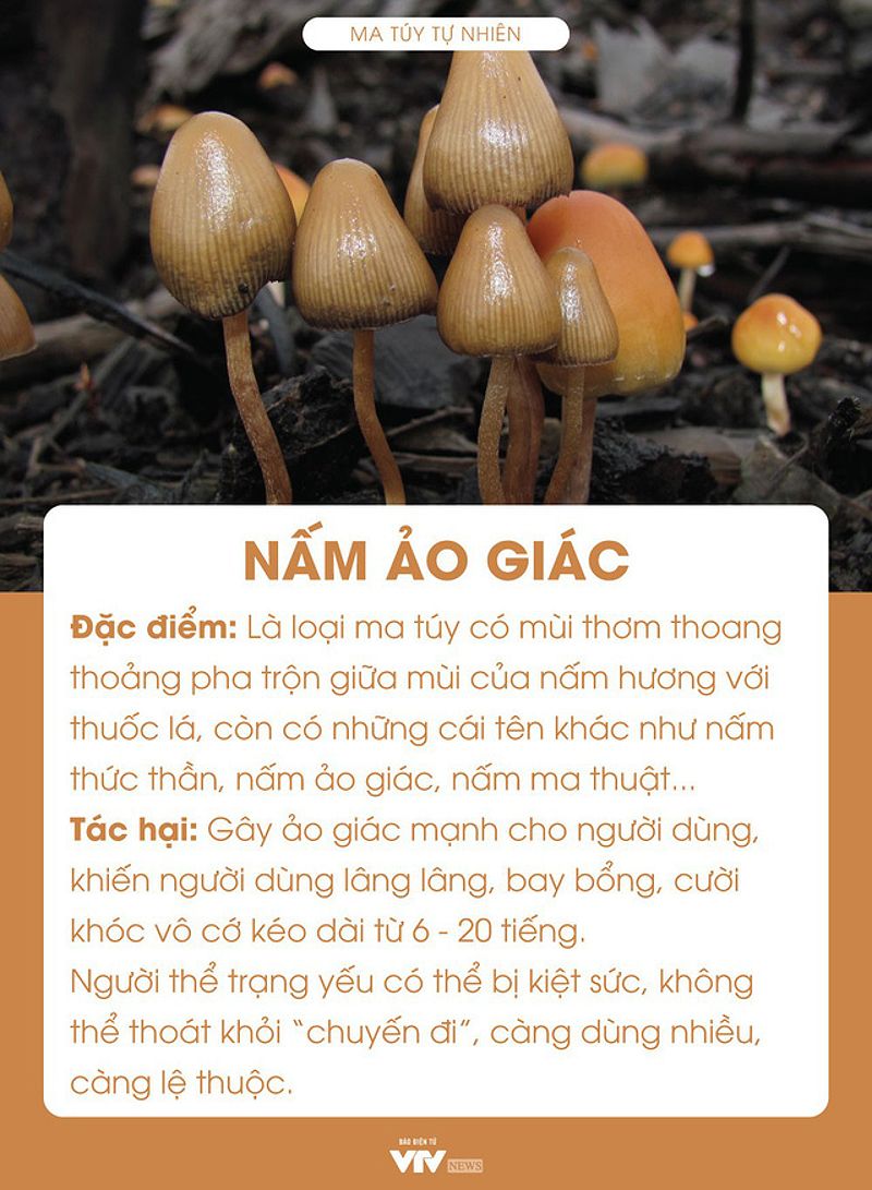 Ma túy ức chế