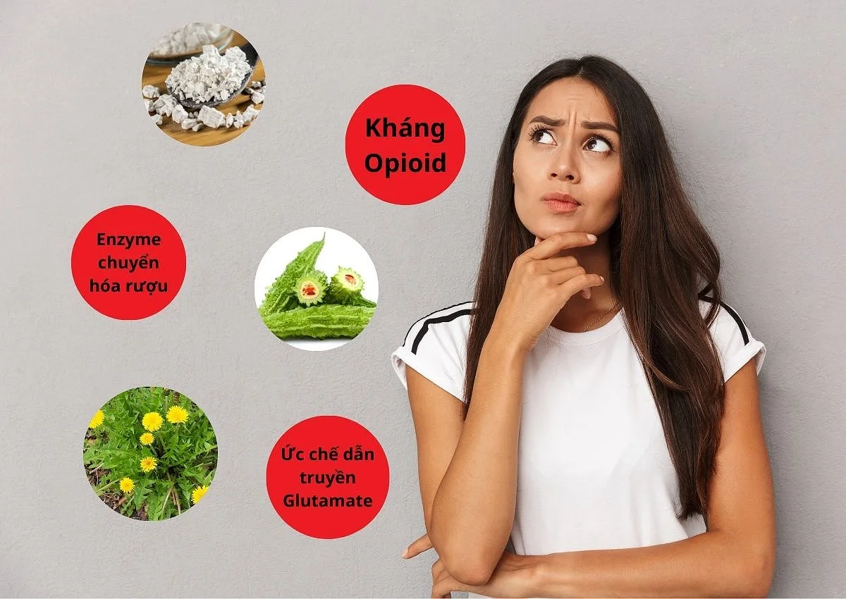 Thuốc cai rượu có giúp cai rượu vĩnh viễn không? 17